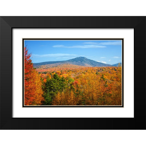 Fall Trees 6 Black Modern Wood Framed Art Print with Double Matting by Lee, Rachel