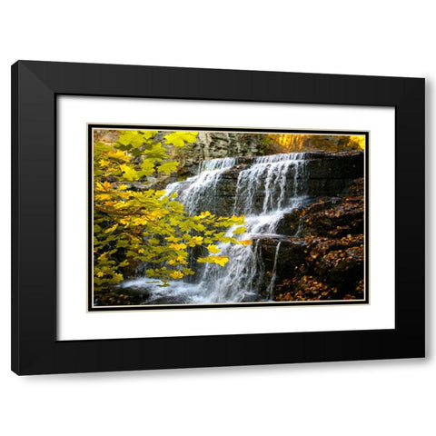 Fall Waterfall Black Modern Wood Framed Art Print with Double Matting by Lee, Rachel