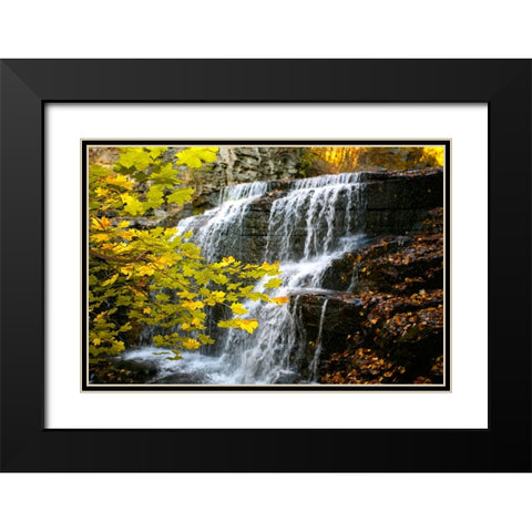Fall Waterfall Black Modern Wood Framed Art Print with Double Matting by Lee, Rachel