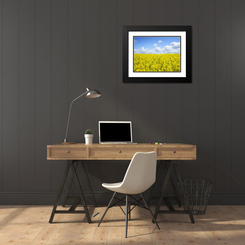Field 15 Black Modern Wood Framed Art Print with Double Matting by Lee, Rachel