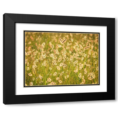 Field 17 Black Modern Wood Framed Art Print with Double Matting by Lee, Rachel