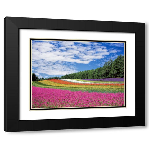Field 19 Black Modern Wood Framed Art Print with Double Matting by Lee, Rachel