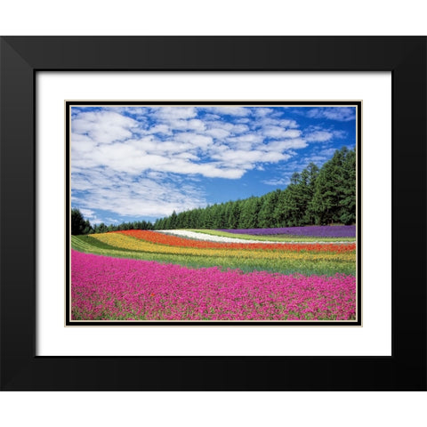 Field 19 Black Modern Wood Framed Art Print with Double Matting by Lee, Rachel