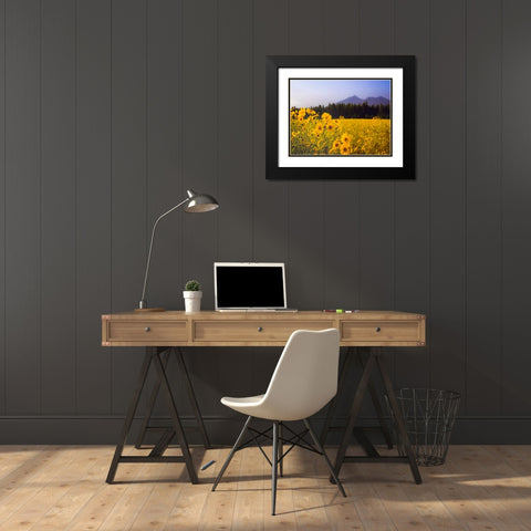 Field 22 Black Modern Wood Framed Art Print with Double Matting by Lee, Rachel
