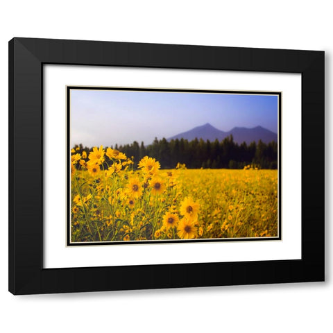 Field 22 Black Modern Wood Framed Art Print with Double Matting by Lee, Rachel