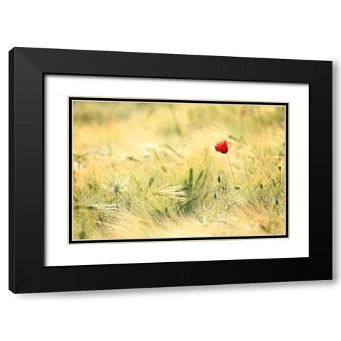 Field 9 Black Modern Wood Framed Art Print with Double Matting by Lee, Rachel