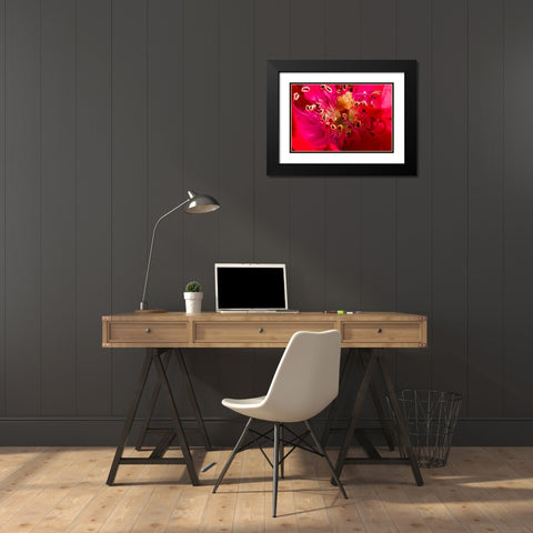 Flower 2 Black Modern Wood Framed Art Print with Double Matting by Lee, Rachel
