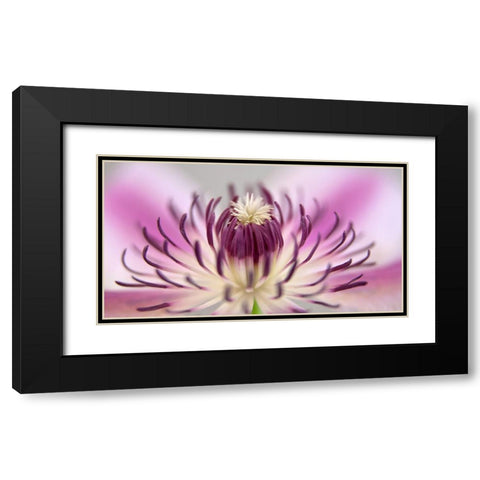 Flower 31 Black Modern Wood Framed Art Print with Double Matting by Lee, Rachel