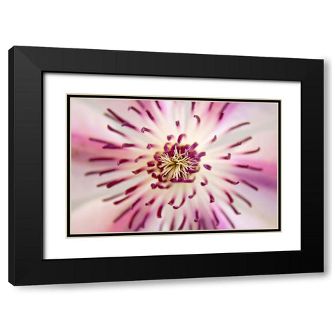 Flower 32 Black Modern Wood Framed Art Print with Double Matting by Lee, Rachel