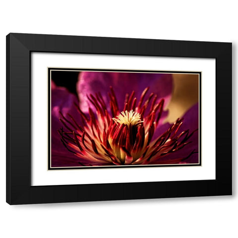 Flower 34 Black Modern Wood Framed Art Print with Double Matting by Lee, Rachel