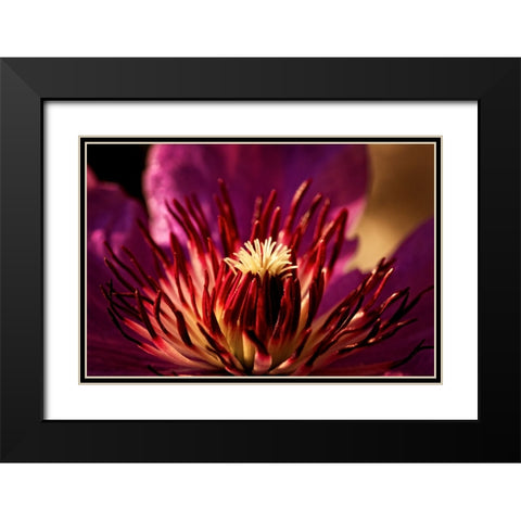 Flower 34 Black Modern Wood Framed Art Print with Double Matting by Lee, Rachel