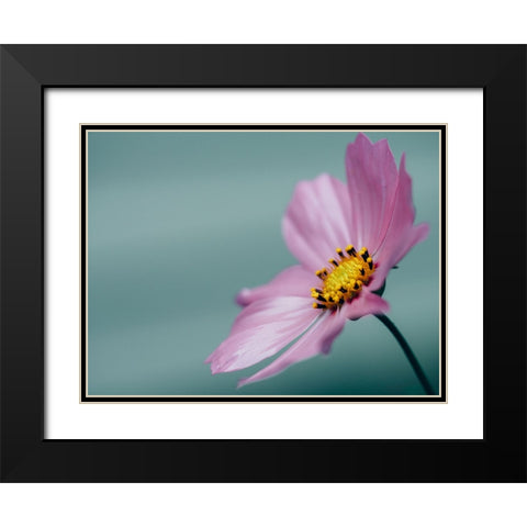 Flower 36 Black Modern Wood Framed Art Print with Double Matting by Lee, Rachel