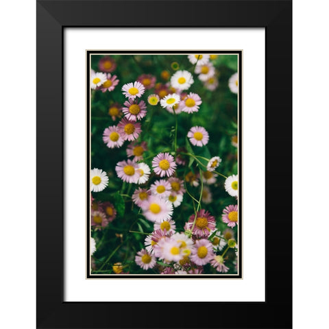 Flower 53 Black Modern Wood Framed Art Print with Double Matting by Lee, Rachel