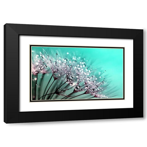 Flower 55 Black Modern Wood Framed Art Print with Double Matting by Lee, Rachel
