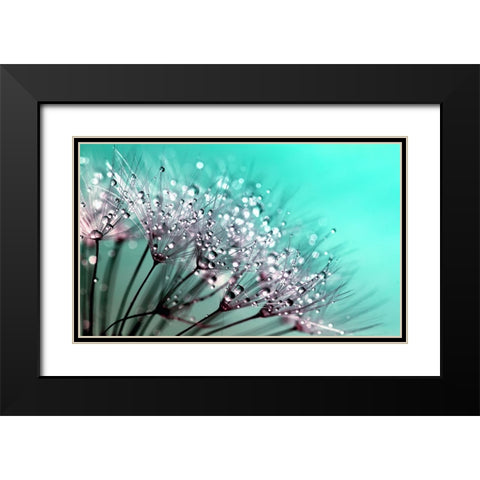 Flower 55 Black Modern Wood Framed Art Print with Double Matting by Lee, Rachel