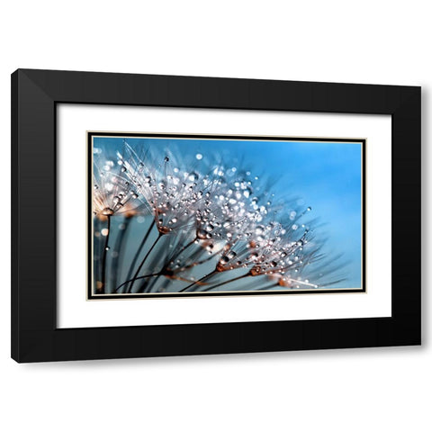 Flower 55 Custom Blue Black Modern Wood Framed Art Print with Double Matting by Lee, Rachel