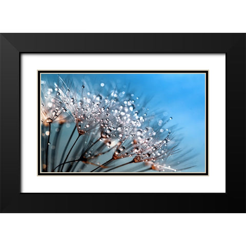 Flower 55 Custom Blue Black Modern Wood Framed Art Print with Double Matting by Lee, Rachel