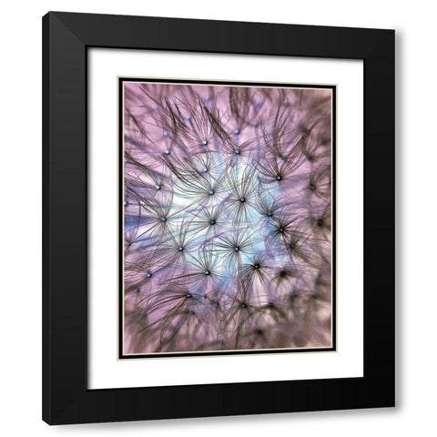 Flower 58 Black Modern Wood Framed Art Print with Double Matting by Lee, Rachel