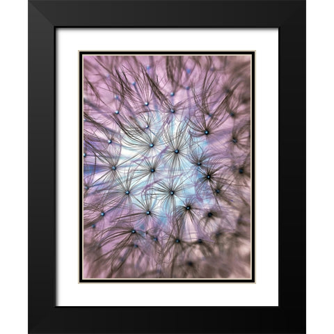 Flower 58 Black Modern Wood Framed Art Print with Double Matting by Lee, Rachel