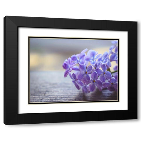 Flower 63 Black Modern Wood Framed Art Print with Double Matting by Lee, Rachel