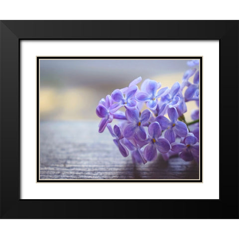 Flower 63 Black Modern Wood Framed Art Print with Double Matting by Lee, Rachel