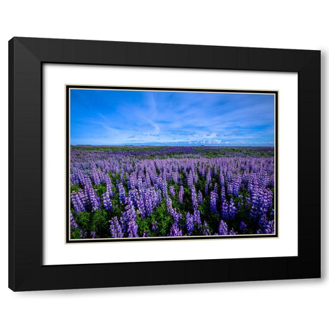 Flower 64 Black Modern Wood Framed Art Print with Double Matting by Lee, Rachel