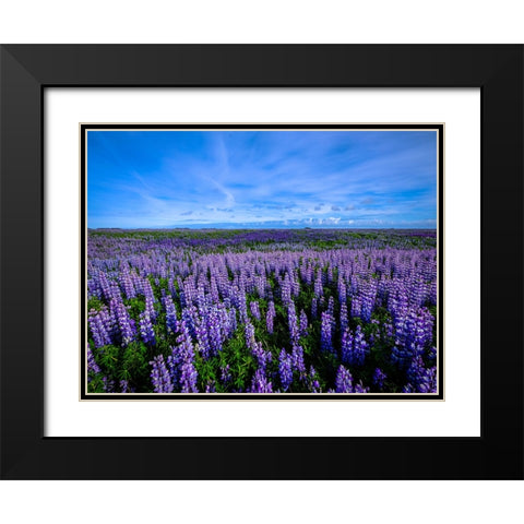 Flower 64 Black Modern Wood Framed Art Print with Double Matting by Lee, Rachel