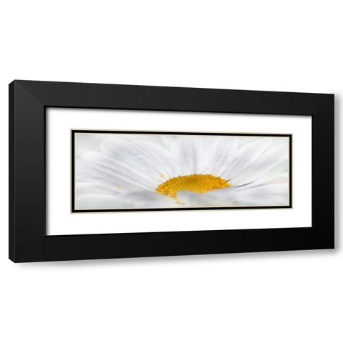 Flower 68 Black Modern Wood Framed Art Print with Double Matting by Lee, Rachel