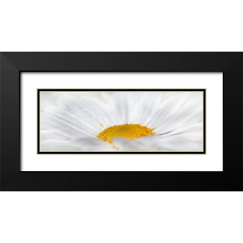 Flower 68 Black Modern Wood Framed Art Print with Double Matting by Lee, Rachel