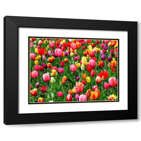 Flower 73 Black Modern Wood Framed Art Print with Double Matting by Lee, Rachel