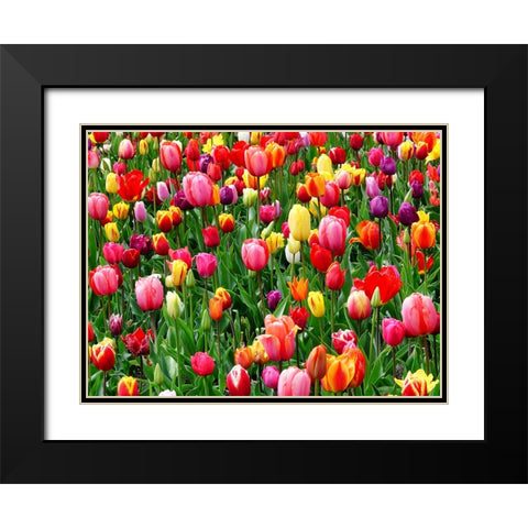 Flower 73 Black Modern Wood Framed Art Print with Double Matting by Lee, Rachel