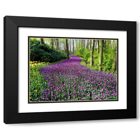 Flower 75 Black Modern Wood Framed Art Print with Double Matting by Lee, Rachel