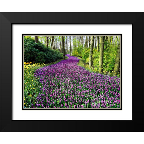 Flower 75 Black Modern Wood Framed Art Print with Double Matting by Lee, Rachel