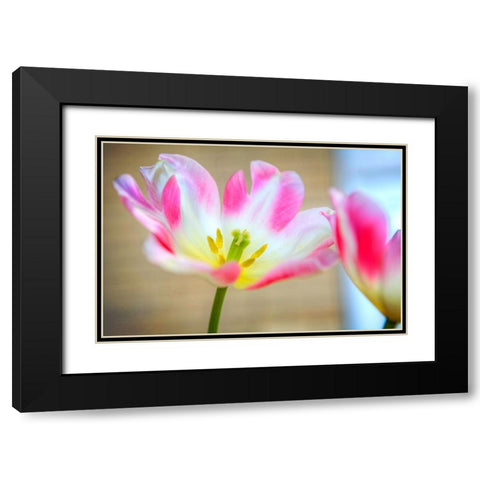 Flower Pink Black Modern Wood Framed Art Print with Double Matting by Lee, Rachel