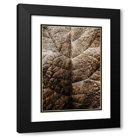 Foliage Textured 1 Black Modern Wood Framed Art Print with Double Matting by Lee, Rachel