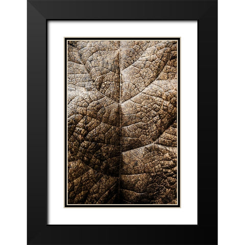 Foliage Textured 1 Black Modern Wood Framed Art Print with Double Matting by Lee, Rachel
