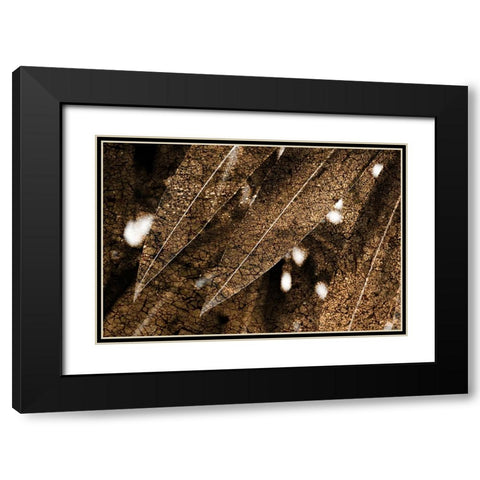 Foliage Textured 4 Black Modern Wood Framed Art Print with Double Matting by Lee, Rachel