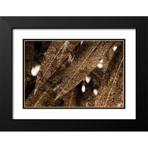 Foliage Textured 4 Black Modern Wood Framed Art Print with Double Matting by Lee, Rachel