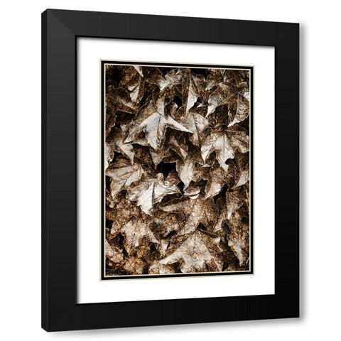 Foliage Textured 6 Black Modern Wood Framed Art Print with Double Matting by Lee, Rachel
