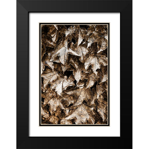 Foliage Textured 6 Black Modern Wood Framed Art Print with Double Matting by Lee, Rachel