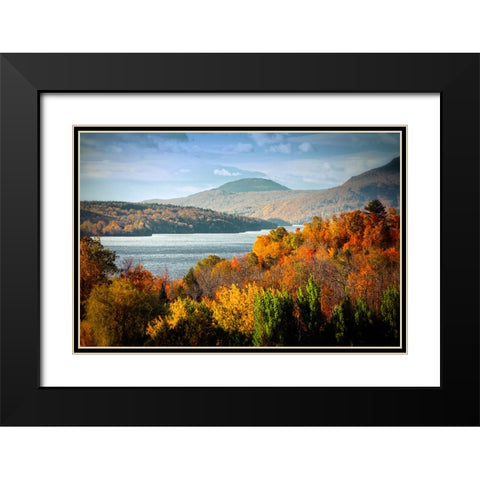 Forest Lake Black Modern Wood Framed Art Print with Double Matting by Lee, Rachel