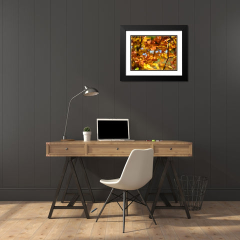 Leaves 15 Black Modern Wood Framed Art Print with Double Matting by Lee, Rachel