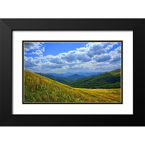 Mountain View 10 Black Modern Wood Framed Art Print with Double Matting by Lee, Rachel