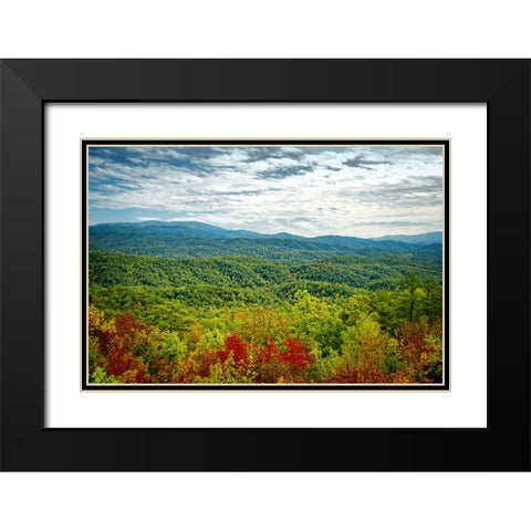 Mountain View 23 Black Modern Wood Framed Art Print with Double Matting by Lee, Rachel