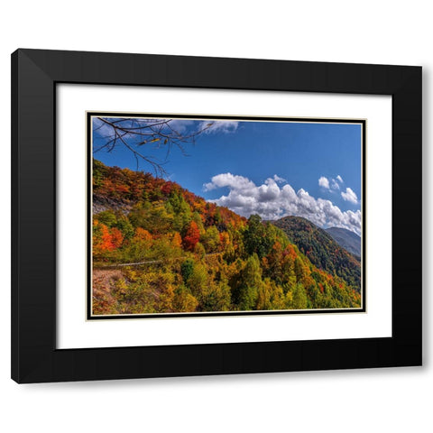 NC Fall Mountains 6 Black Modern Wood Framed Art Print with Double Matting by Lee, Rachel