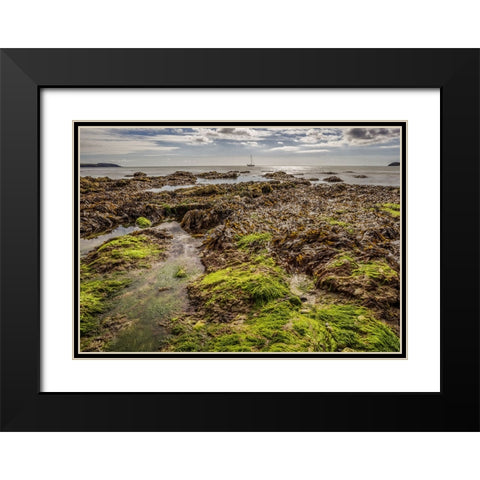 Ocean 54 Black Modern Wood Framed Art Print with Double Matting by Lee, Rachel