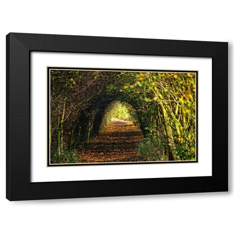 Pathway Black Modern Wood Framed Art Print with Double Matting by Lee, Rachel