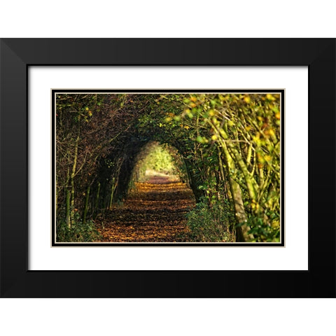 Pathway Black Modern Wood Framed Art Print with Double Matting by Lee, Rachel