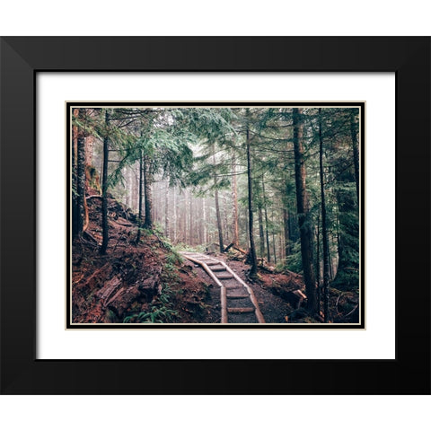 Pathway 5 Black Modern Wood Framed Art Print with Double Matting by Lee, Rachel