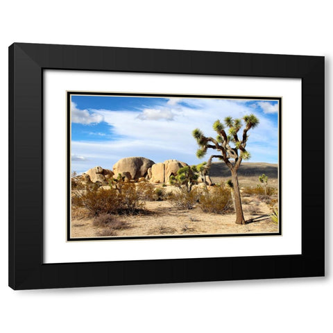 Southwest 1 Black Modern Wood Framed Art Print with Double Matting by Lee, Rachel